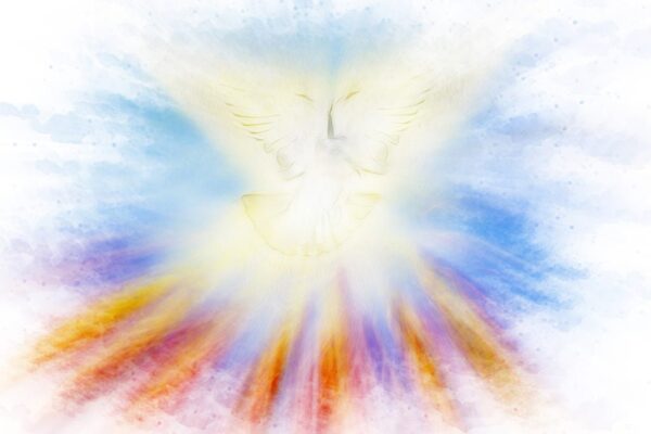Holy Spirit, Pentecost or Confirmation symbol with a dove, and b
