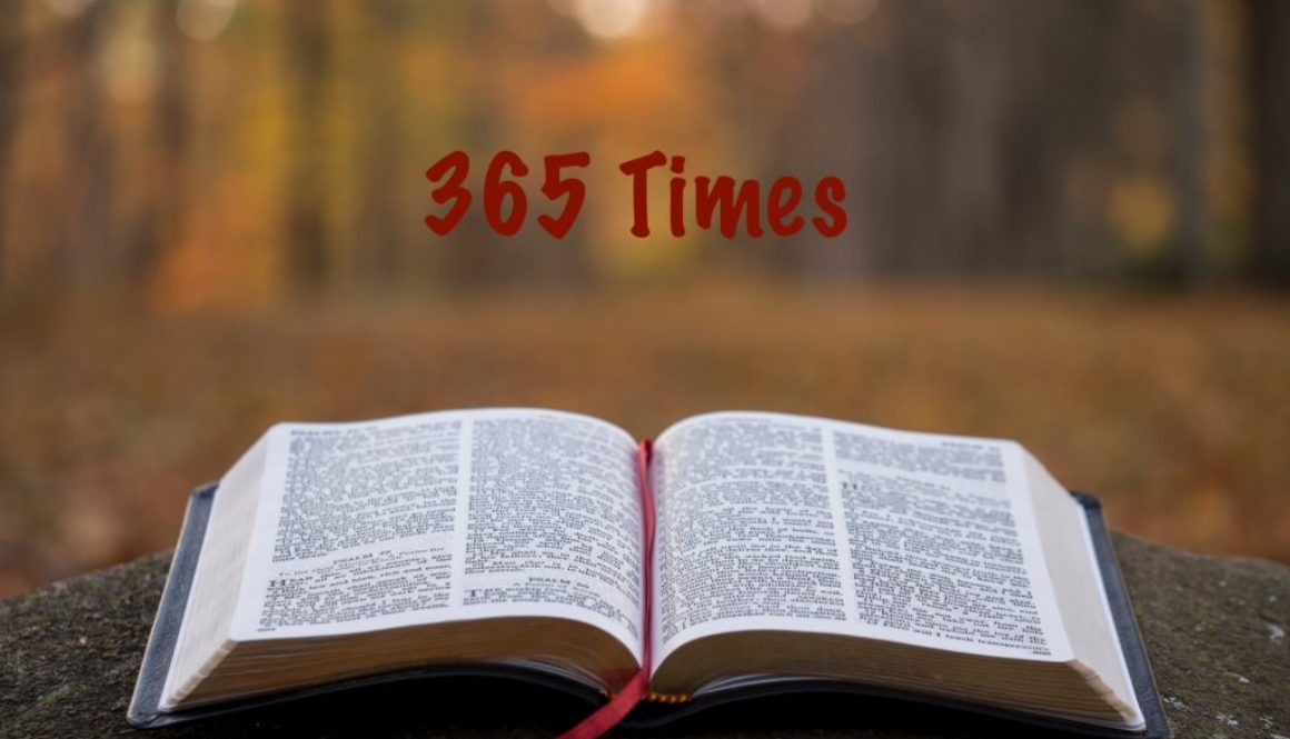 BIBLE