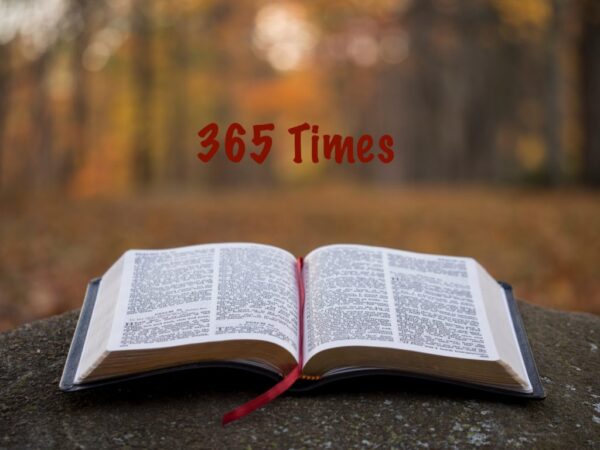 BIBLE
