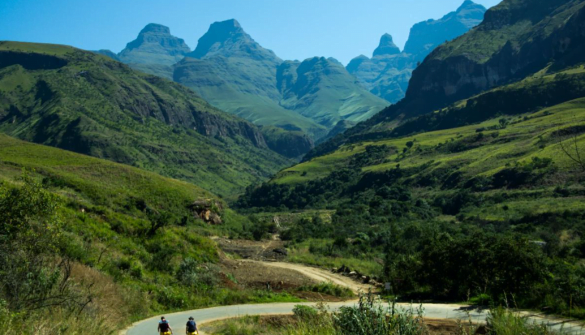 Screen Shot 2021-07-20 at 11.34.10 AM