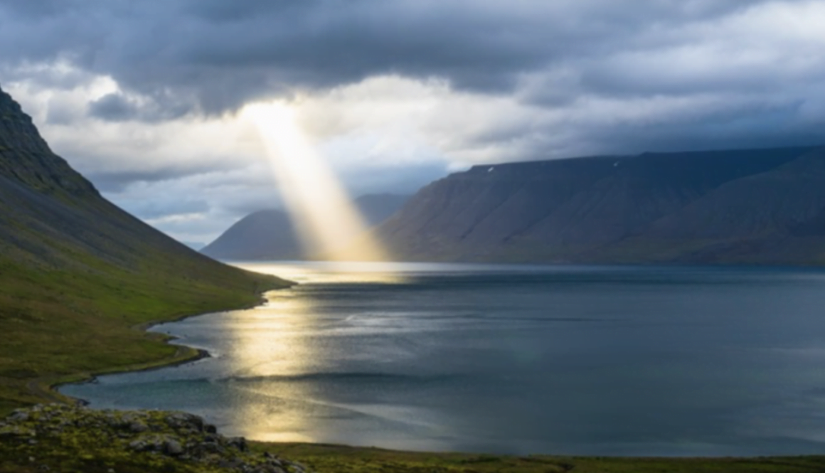 Screen Shot 2021-08-18 at 2.40.37 PM