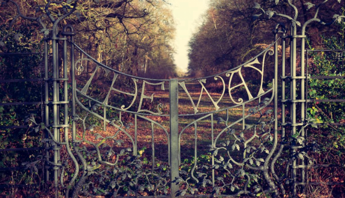 Screen Shot 2021-10-29 at 5.51.08 PM