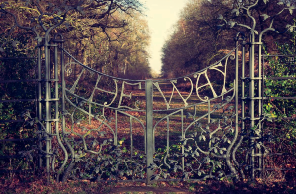 Screen Shot 2021-10-29 at 5.51.08 PM