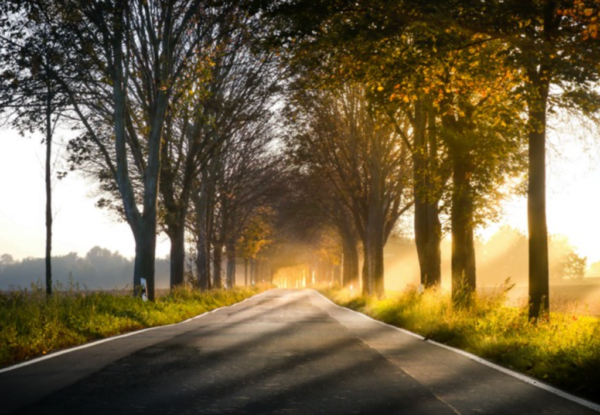 Screen Shot 2022-01-29 at 2.07.35 PM