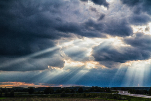 Screen Shot 2022-05-09 at 7.11.19 PM