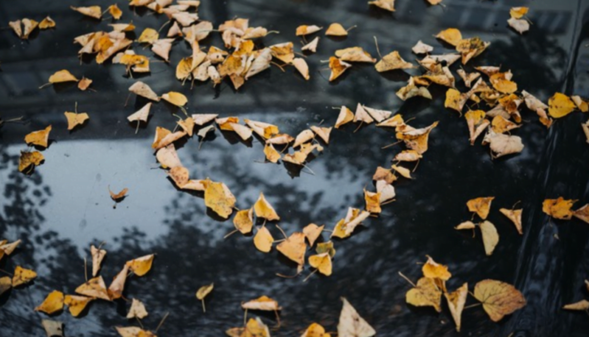 Screen Shot 2022-05-31 at 9.31.16 PM