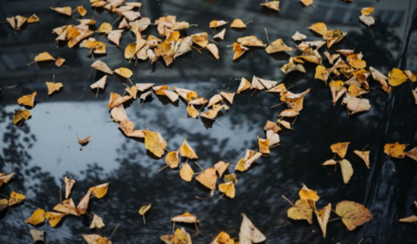 Screen Shot 2022-05-31 at 9.31.16 PM