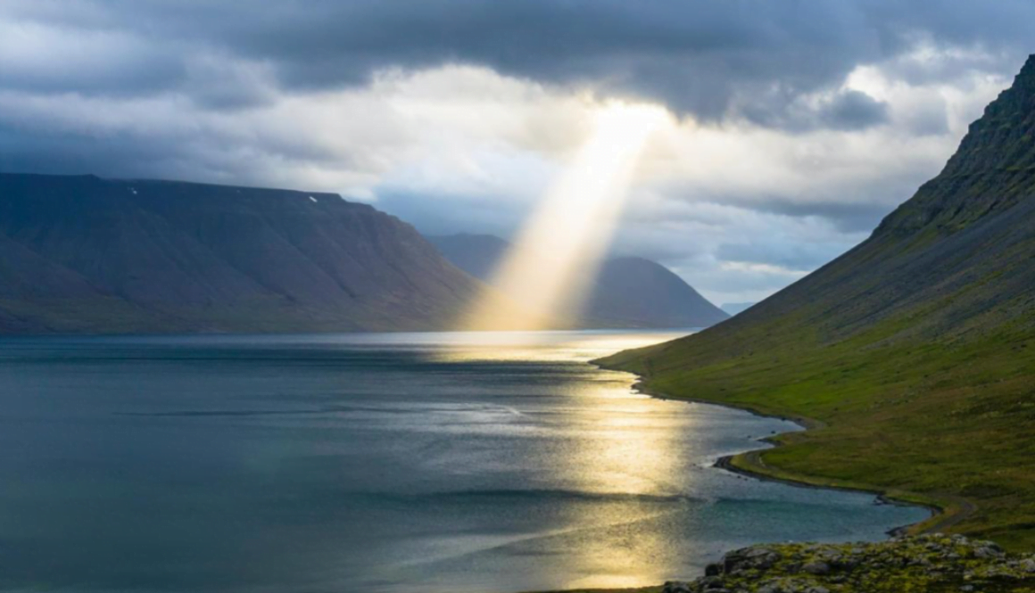 Screen Shot 2022-07-06 at 7.11.09 PM