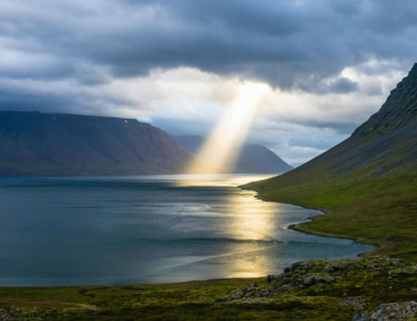 Screen Shot 2022-07-06 at 7.11.09 PM