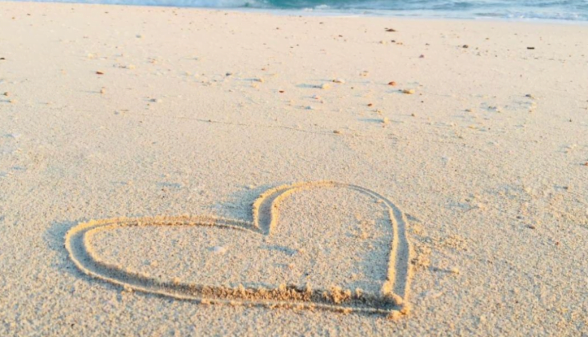 Screen Shot 2022-08-29 at 11.28.56 AM