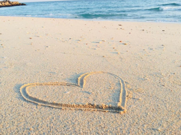 Screen Shot 2022-08-29 at 11.28.56 AM