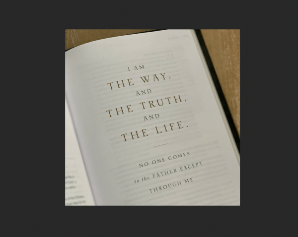 Screen Shot 2022-11-25 at 7.56.42 PM