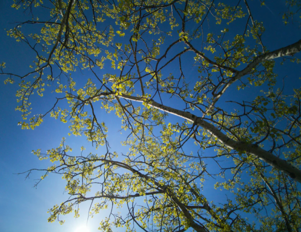 Screen Shot 2022-12-12 at 7.33.43 PM