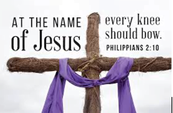 Screen Shot 2023-03-20 at 6.17.12 AM