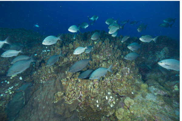 Screen Shot 2023-06-30 at 10.38.52 AM