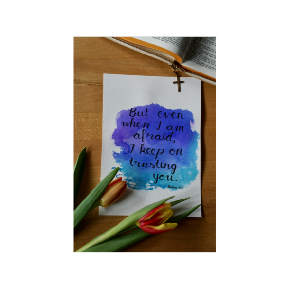 Screen Shot 2023-07-10 at 8.17.54 PM