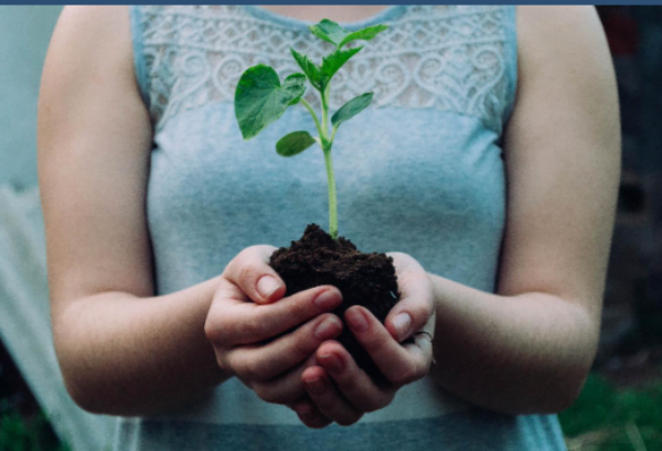 Screen Shot 2023-09-24 at 8.14.12 AM