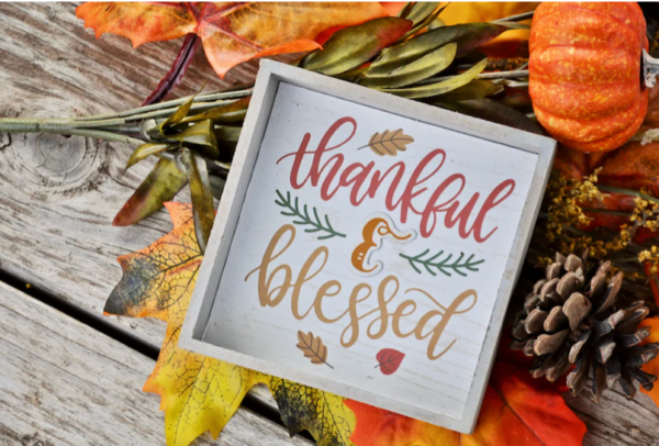 Screen Shot 2023-11-17 at 4.24.41 PM