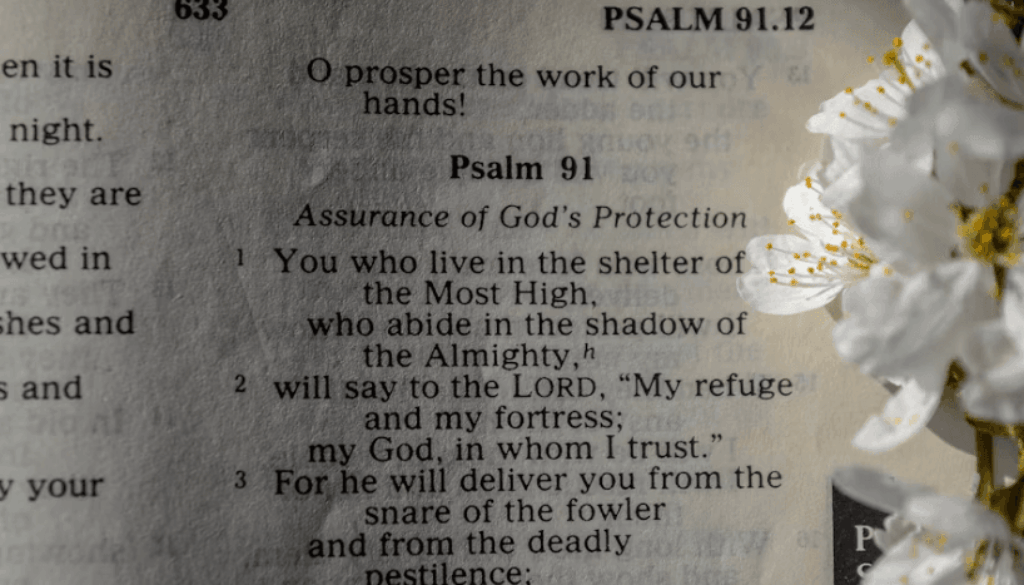 Screenshot 2025-10-27 at 10.07.56 PM