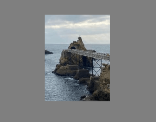 Screen Shot 2024-08-27 at 2.02.36 PM