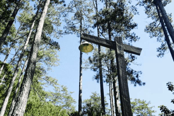 Screenshot 2025-10-27 at 8.19.04 PM