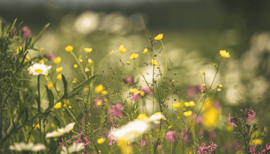 Screenshot 2025-10-27 at 7.33.08 PM