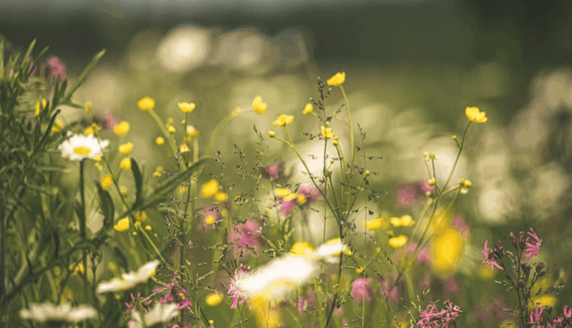 Screenshot 2025-10-27 at 7.33.08 PM