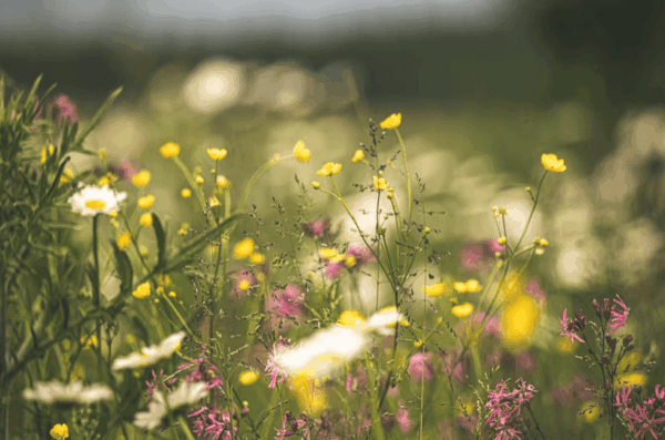 Screenshot 2025-10-27 at 7.33.08 PM