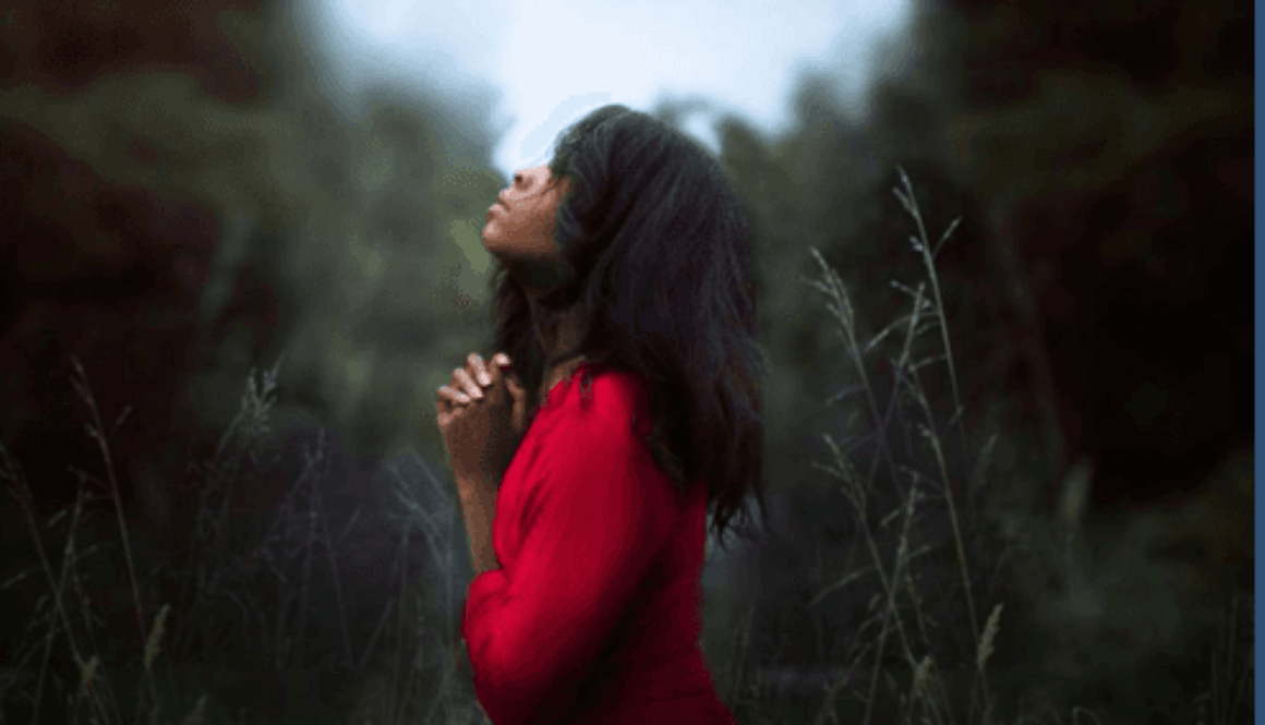 Screenshot 2025-12-20 at 12.17.51 AM