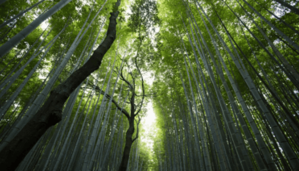 Screenshot 2026-01-14 at 10.05.20 AM