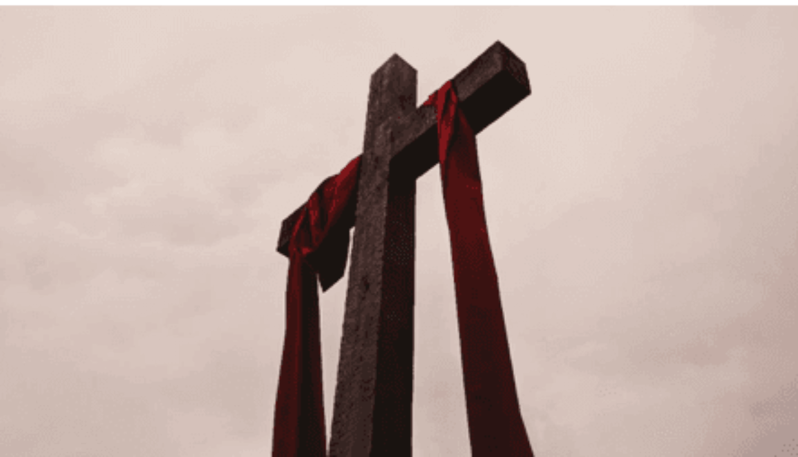 Screenshot 2026-02-16 at 7.02.52 PM