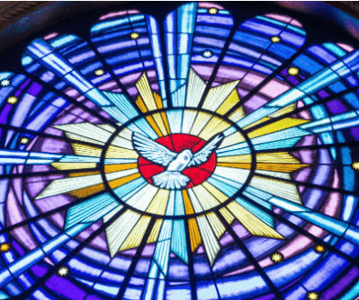 Screenshot 2026-02-27 at 12.33.12 PM